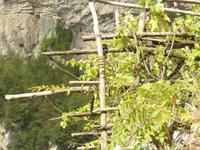 Sentiero degli Dei 2