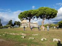 Italien, Paestum, Ausgrabungen