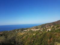 Italien, Cilento, Canniccio