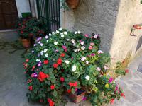 Italien, Cilento, Pollica