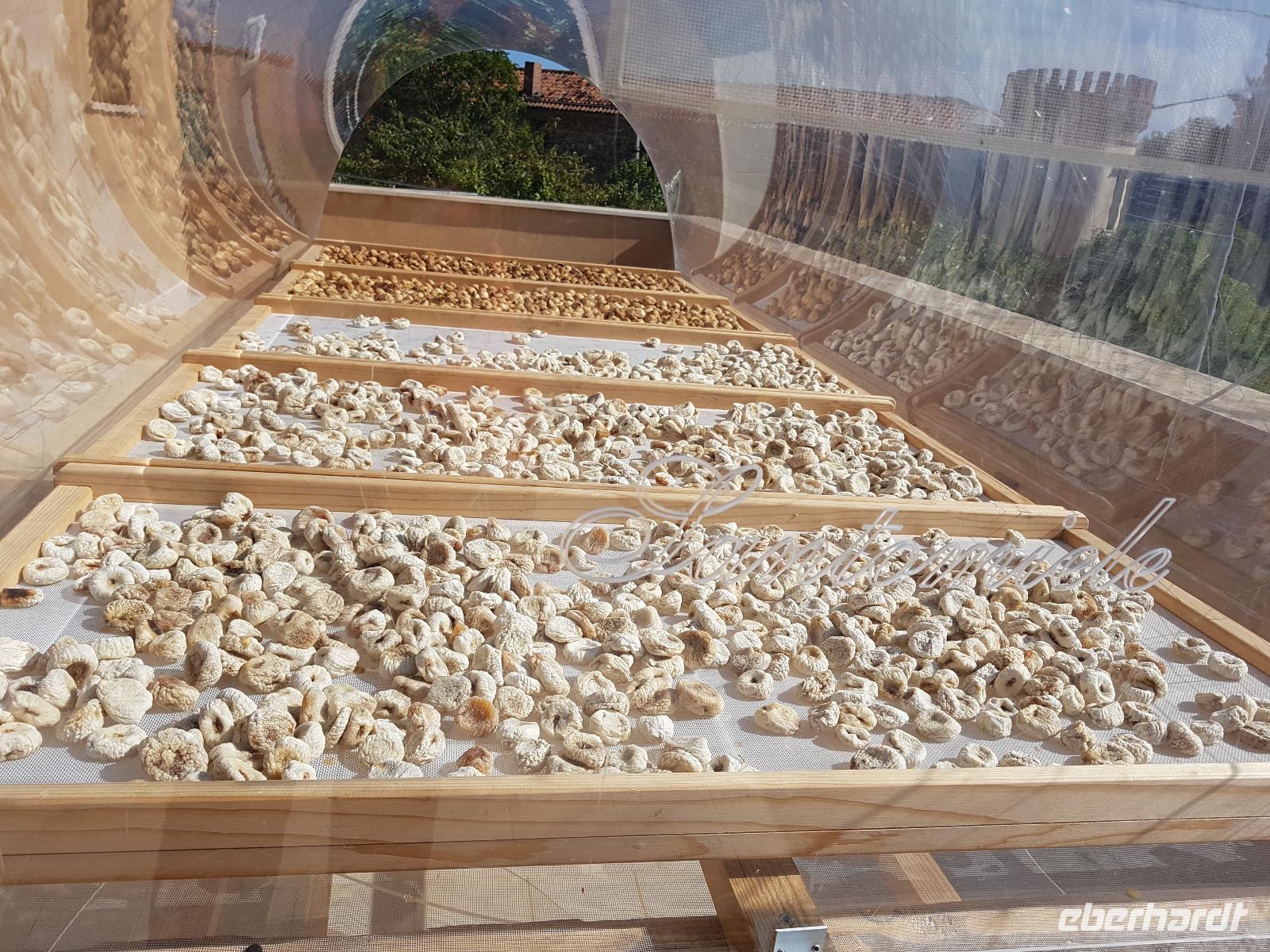 Italien, Cilento, Prignano Cilento, Santomiele