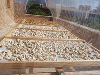 Italien, Cilento, Prignano Cilento, Santomiele