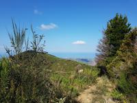 Italien, Cilento, Wanderung Monte Stella