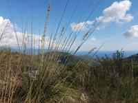 Italien, Cilento, Wanderung Monte Stella
