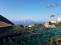 Italien, Wanderung zur Punta Campanella