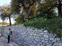 Italien, Wanderung zur Punta Campanella, Trockenmauer