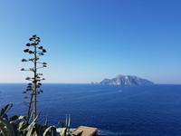 Italien, Wanderung zur Punta Campanella