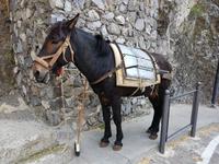 Italien, Amalfiküste, Götterweg