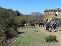 Italien, Cilento, Wanderung Punta Tresino