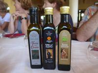 Italien, Cilento, Olivencooperative