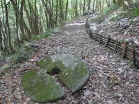 Italien, Cilento, wanderung Caloreschlucht