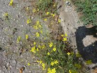 Italien, Amalfiküste, Götterweg