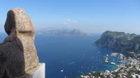 Blick von der Villa San Michele Capri