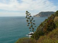 Cinque Terre 4