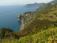 Cinque Terre 13