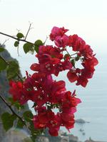 Amalfi im Herbst 7