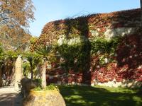 Villa Cimbrone im Oktober 3