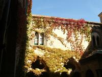 Villa Cimbrone im Oktober 4