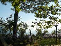 Villa Cimbrone im Oktober 8