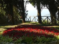 Villa Cimbrone im Oktober 13