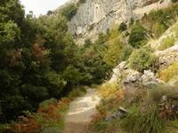 Valle delle Ferriere 4