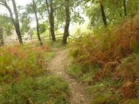 Valle delle Ferriere 5