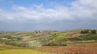 Piemont (Fahrt durch das Monferrato-Gebiet)