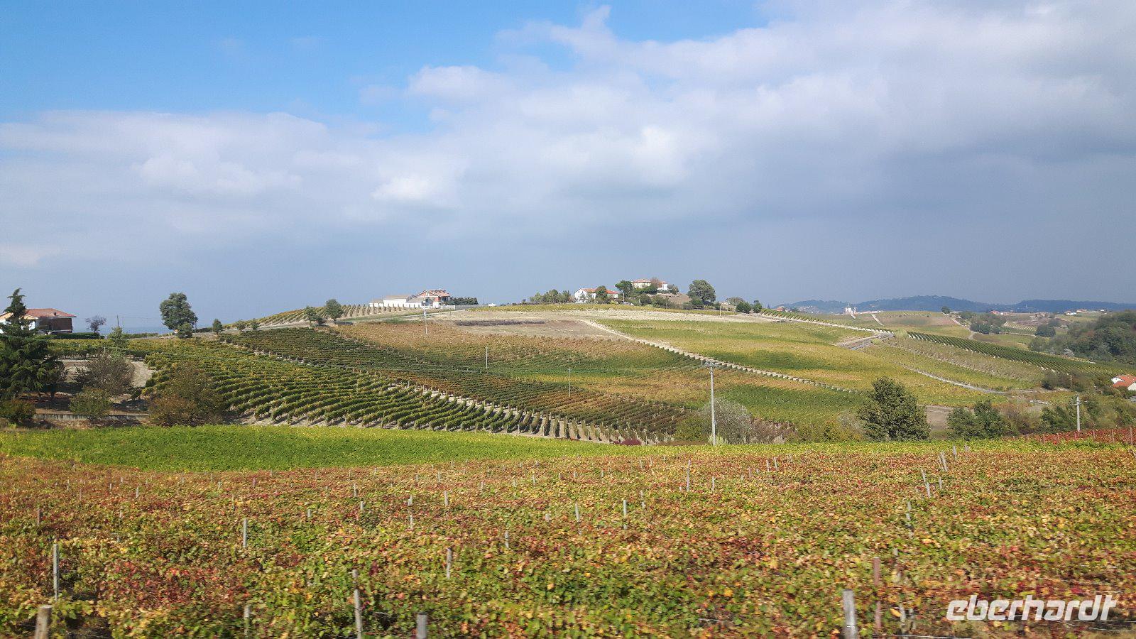 Piemont (Fahrt durch das Monferrato-Gebiet)