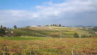 Piemont (Fahrt durch das Monferrato-Gebiet)