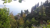 Portofino (Ausblick vom Castello Brown)