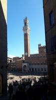 Siena (Piazza del Campo)