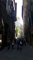 Siena (Altstadt)