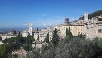 Assisi