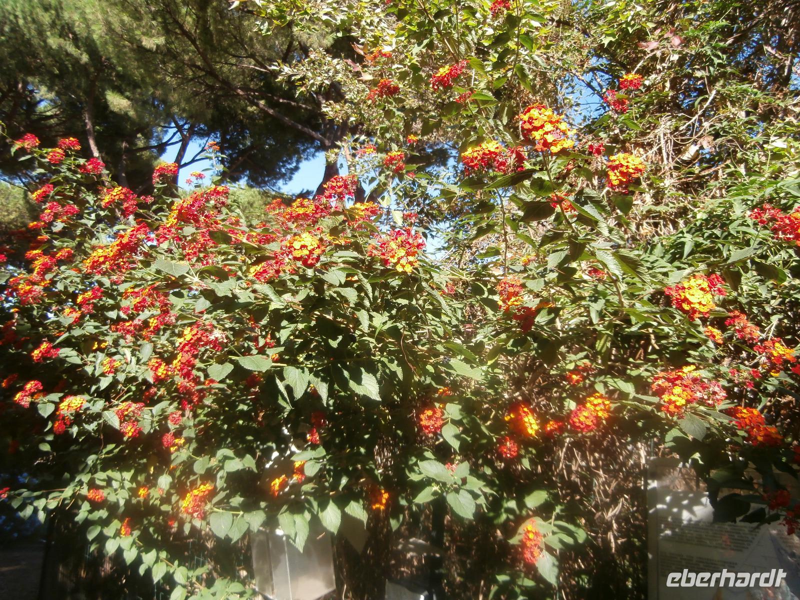 Nichtkatholischer Friedhof Rom