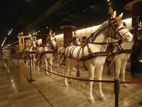 Vatikan Rom-Garage der Papst Fahrzeuge