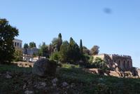 Rom, Forum Romanum (17)