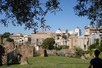 Rom, Forum Romanum (24)