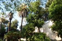 Rom, Monte Pincio (1)