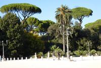 Rom, Monte Pincio (2)