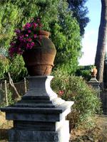 Stilleben vor unserem Hotel