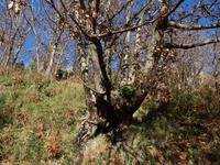 Wanderung bei Fiaiano 1