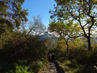 Wanderung bei Fiaiano 6