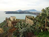 Procida 7