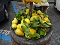 Inselrundfahrt Ponte 1