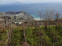 Wanderung Monte Epomeo 18