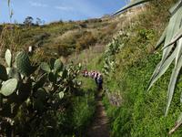 Wanderung Piano Liguori 7