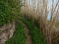 Wanderung Piano Liguori 11