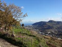 Wanderung bei Fiaiano 15