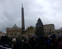 Neujahrsansprache Papst