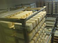 IMG_9113 ... im Reifekeller